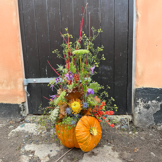 Dekoration i græskar med afskårne blomster