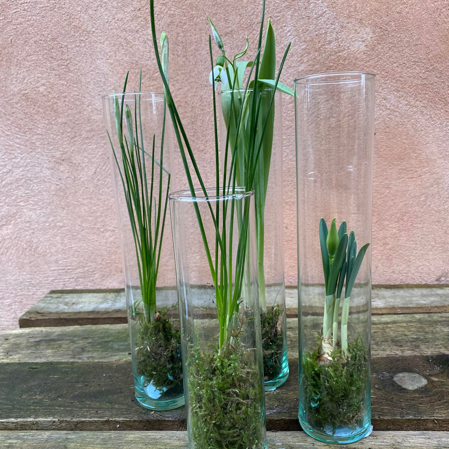 Dekoration med forårsplanter i højt glas