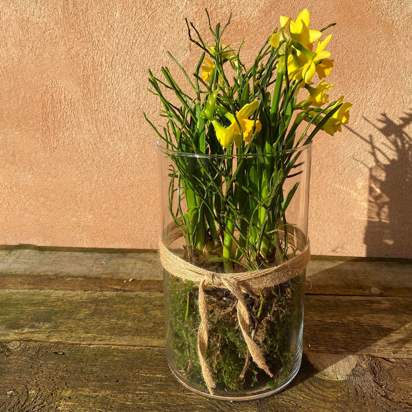 Dekoration med planter i glas