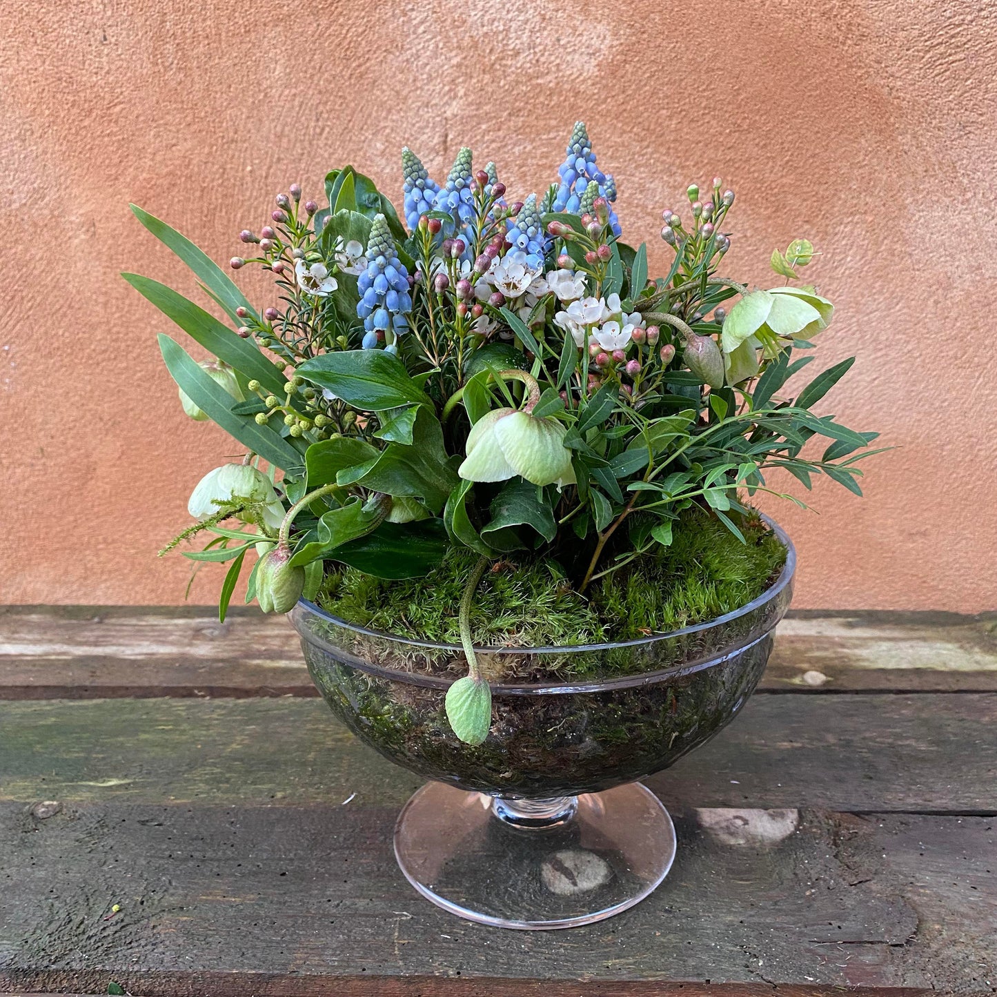 Dekoration med forårsplanter