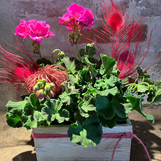 Dekoration med planter, mors dag