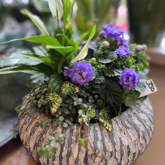 Dekoration med planter