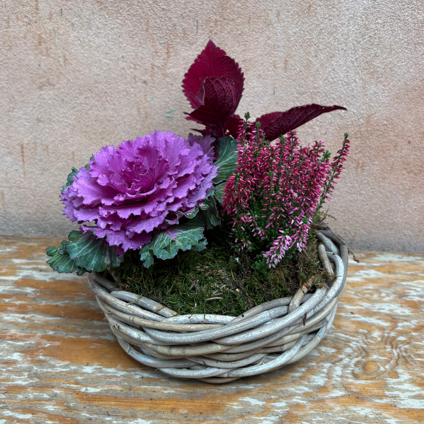 Dekoration med planter