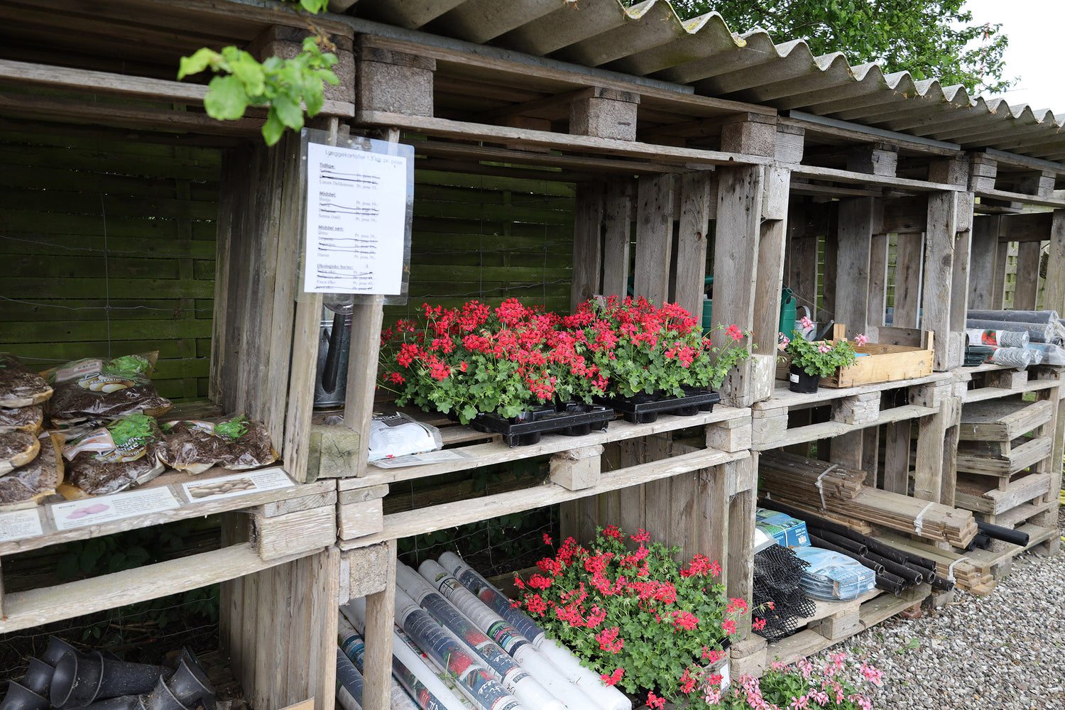 opbinding og espalier