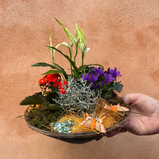 Dekoration med planter