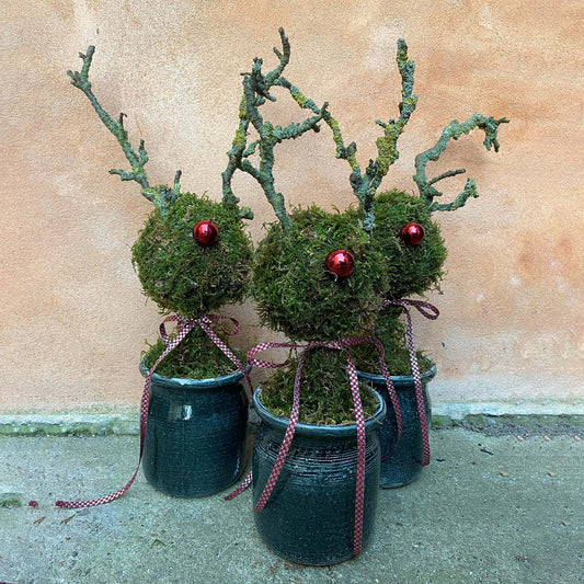 Juledekoration. Udendørs. Rudolf. Rensdyr.