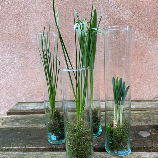 Dekoration med forårsplanter i højt glas
