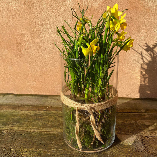 Dekoration med planter i glas