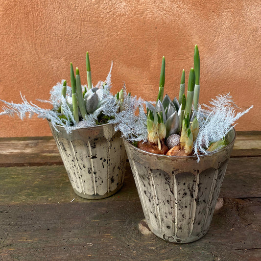 Dekoration med løgplanter