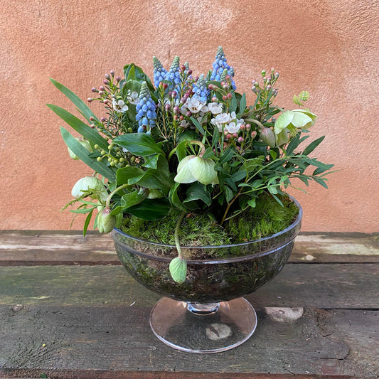 Dekoration med forårsplanter