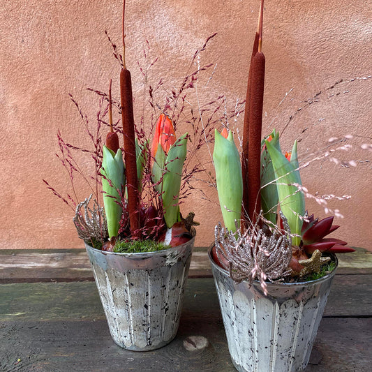 Dekoration med tulipaner