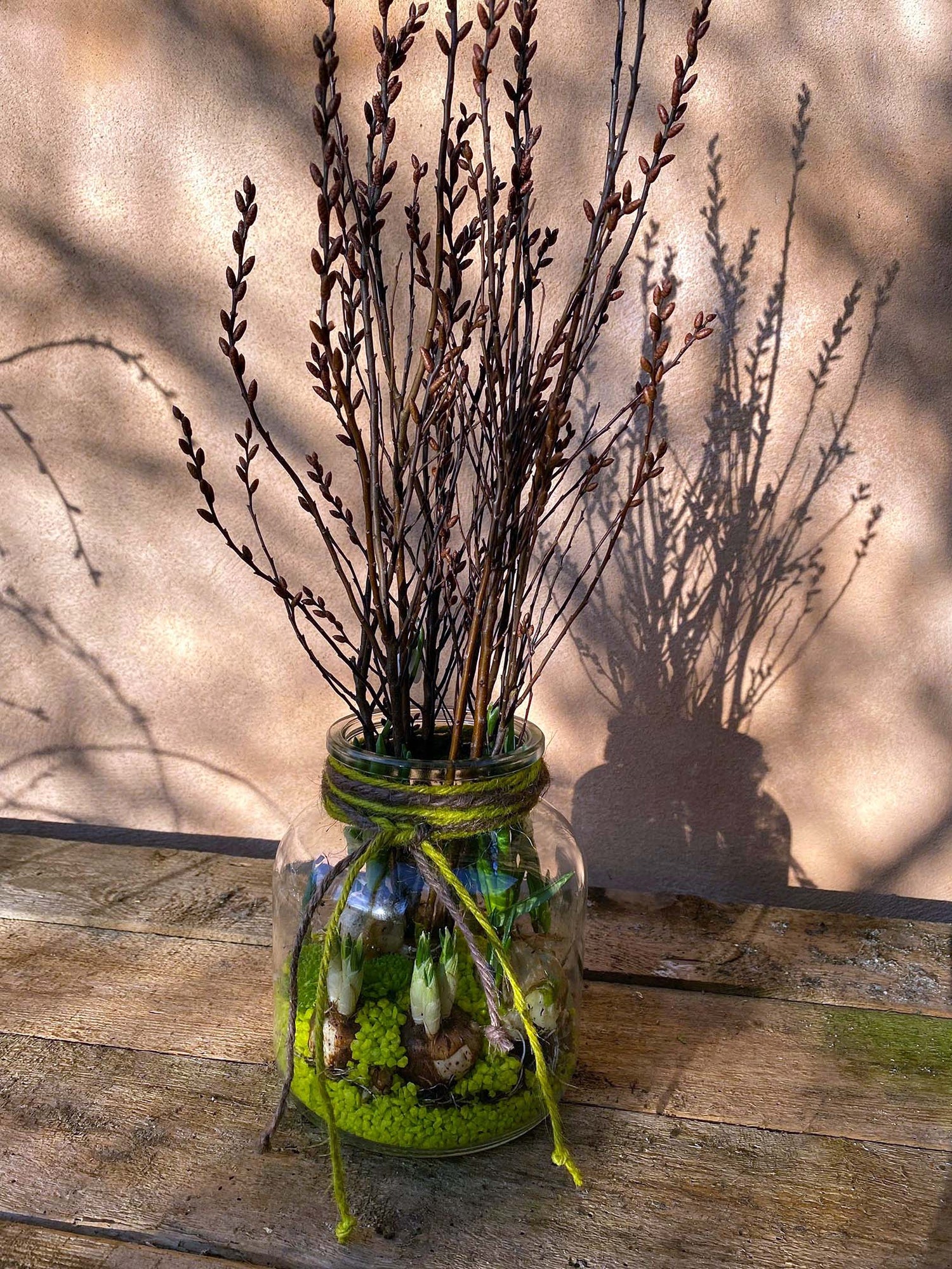 Forårsdekoration. Glas med løgplanter og grene