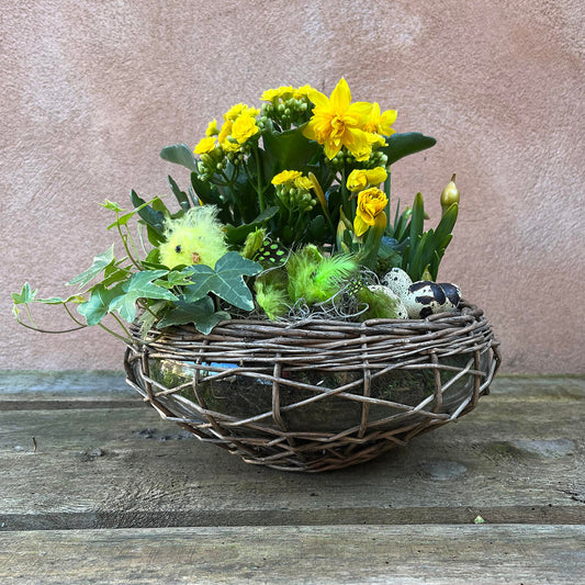 Dekoration med planter, påske