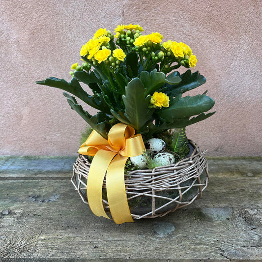 Dekoration til påske med plante