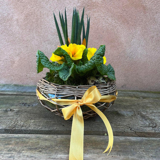 Dekoration til påske med planter